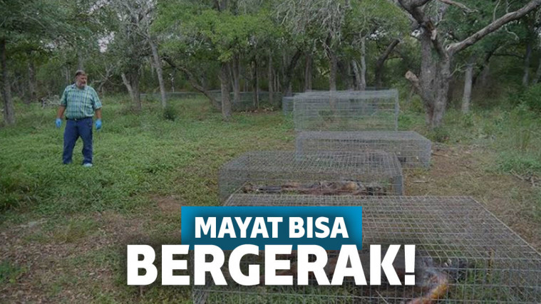 Mistis atau bukan?