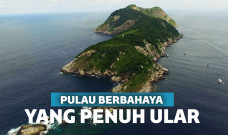 Pulau ular
