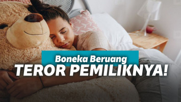 Boneka Teddy Bear Yang Melegenda