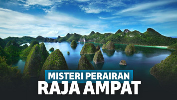 Teka- Teki Misterius di Balik Ketenangan Perairan Raja Ampat
