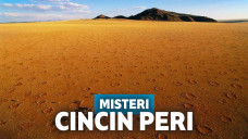 Cincin Peri di Gurun Namib
