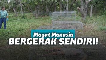 "Ladang mayat manusia"