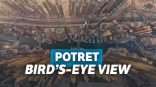 Potret Mengagumkan Dari Sudut Pandang Burung