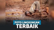 lomba foto lingkungan, mongabay