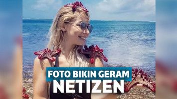 Trend Foto Bintang Laut, Mongabay