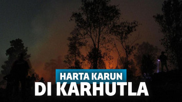 Harta Karun, Karhutla, CNN