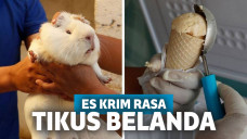 Pada awalnya, sang pembuat sendiri sempat ragu.