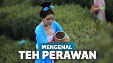 Selain harus perawan, orang yang memetiknya harus memiliki ukuran C Cup.