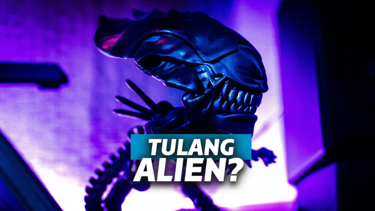 bangkai alien lumba-lumba