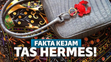 fakta kejam tas hermes