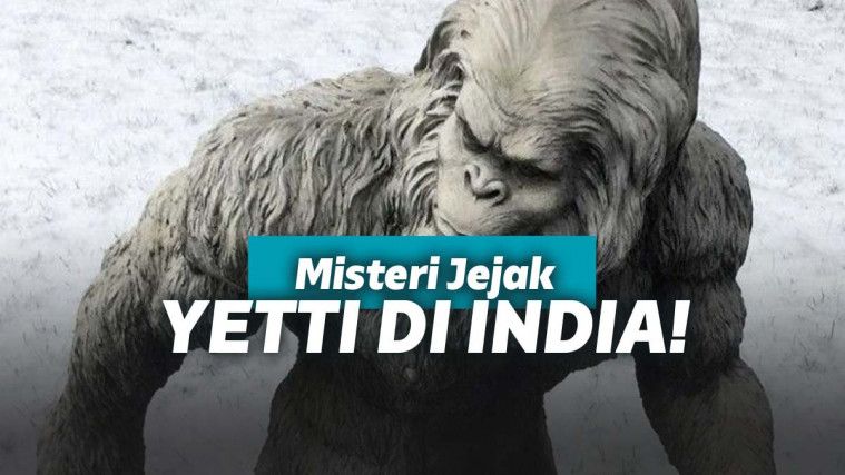 Begini Jejak Yetti Yang Ditemukan Oleh Tentara India