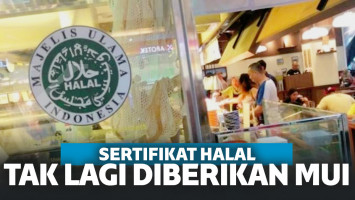 UU JPH Resmi Diterapkan, Seluruh Produk Wajib Bersertifikat Halal