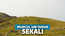 Brigadoon muncul di sebuah dataran tinggi di Skotlandia