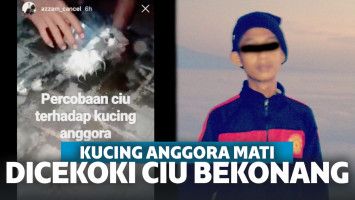 Viral Pria Cekoki Kucing Dengan Miras Ciu Bekonang Hingga Tewas