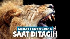 Lepaskan singa saat ditagih bayar listrik