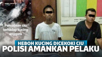 Kucing Dicekoki Ciu Sampai Mati, Polisi Periksa Pelaku dan Amankan Bangkai Kucing