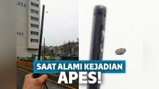 foto apes kocak