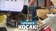 lifehack kocak