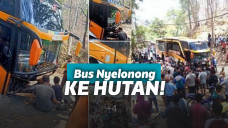 Bus nyasar di tengah hutan