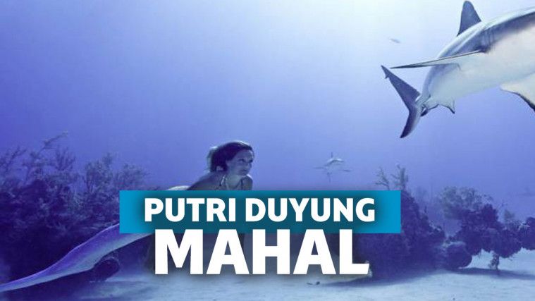 putri duyung mahal