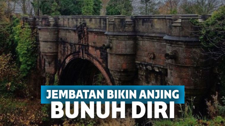 Belum ada yang bisa memberi penjelasan ilmiah soal fenomena yang unik di jembatan ini.