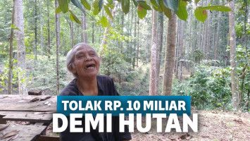 Kakek Suhendri
