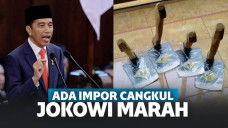 Temukan Cangkul Impor Dijual, Jokowi Geram: Kebangetan Banget!