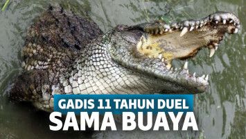 Ilustrasi buaya