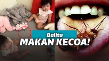 Bocah makan kecoa