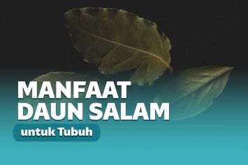 manfaat daun salam