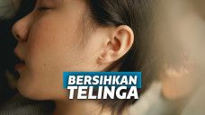 Cara Membersihkan Telinga Paling Mutakhir