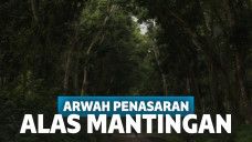 Gambar Jalan Alas Mantingan