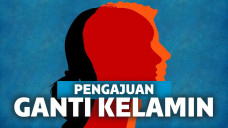 Ilustrasi kelainan kelamin ganda