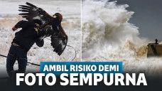 Potret Fotografer yang Berani Ambil Risiko Ekstrem Demi Foto Sempurna