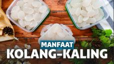Manfaat Kolang Kaling Bagi Tubuh