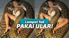 Bocah bermain dengan ular