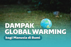 dampak global warming
