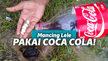 Memancing lele pakai cola dan mentos