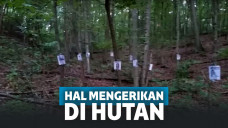 Tempat kemah mengerikan di hutan