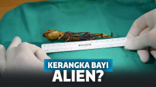 Kerangka bayi alien