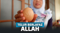 Temukan lafaz Allah di cangkang telur