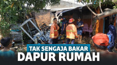 Ingin Usir Tawon, Wanita Ini Tak Sengaja Malah Membakar Seisi Dapur Rumahnya Sendiri