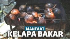 Manfaat Kelapa Bakar
