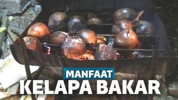 Manfaat Kelapa Bakar
