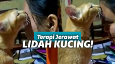 Wajah dijilat kucing