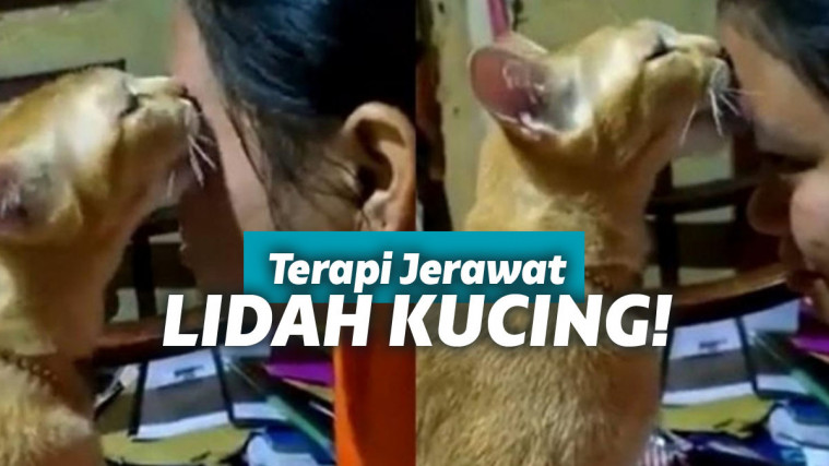 Wajah dijilat kucing