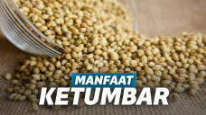 Manfaat Ketumbar bagi Kesehatan
