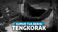 Ngeri! Bocah Kesurupan di Sumur Tua, saat Diperiksa Dalamnya Berisi Tengkorak Manusia