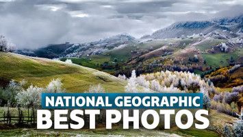 Foto Terbaik NG 2015