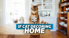 Prasad Adsul Terrys Fabrics cat make decor home